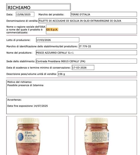 Pagina web di un avviso di richiamo Opel