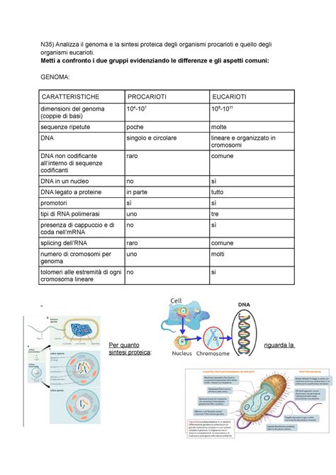 Schema di confronto tra il design pre-restyling e post-restyling della Classe A W169