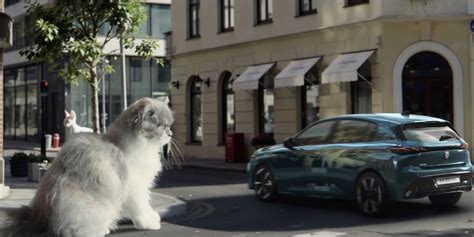 Nuova Peugeot 308 e gattini nello spot pubblicitario