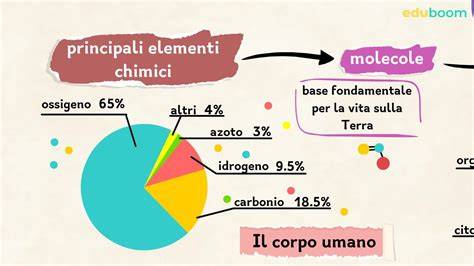 Schema a torta che illustra la composizione tipica di una vernice: legante, pigmenti, additivi.