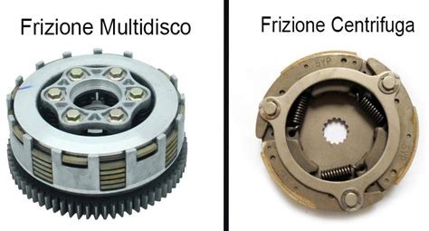 differenze frizione standard e sportiva