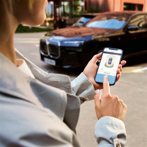 Schema funzionamento Parking Assistant Professional