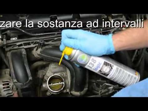 Kit di pulizia per corpo farfallato