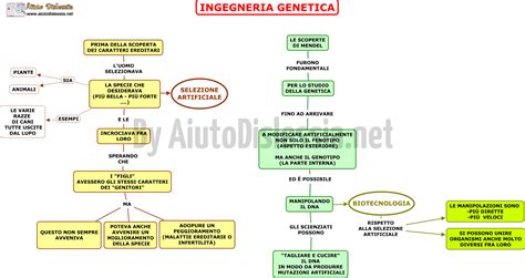 Diagramma comparativo tra ibridazione e ingegneria genetica