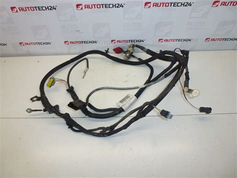 Cablaggio altoparlante posteriore Peugeot 207