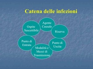 Schema della catena di trasmissione delle infezioni