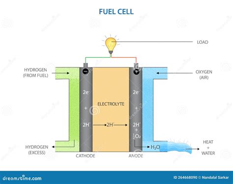 Schema del funzionamento di una cella a combustibile a idrogeno