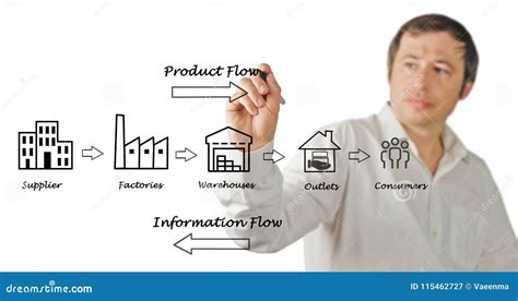 Diagramma della catena di fornitura automobilistica