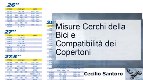 infografica che mostra la compatibilità delle dimensioni della bici con il sistema a binario