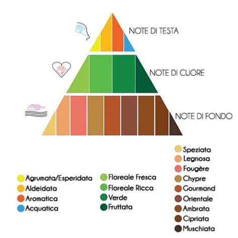 Composizione piramidale delle note olfattive del profumo