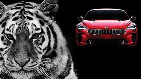Kia Picanto calandra tiger nose