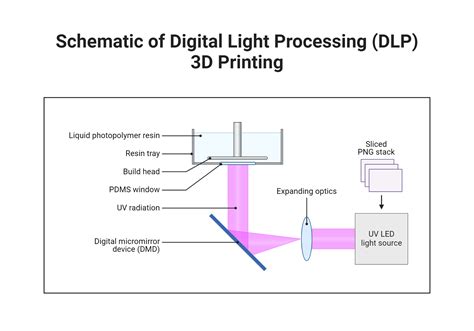 Simulazione funzionamento Digital Light