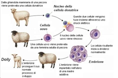 Processo di clonazione di una centralina motore