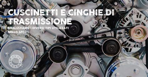 vari tipi di cinghie alternatore