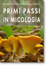 Primi passi di DENSO in Italia