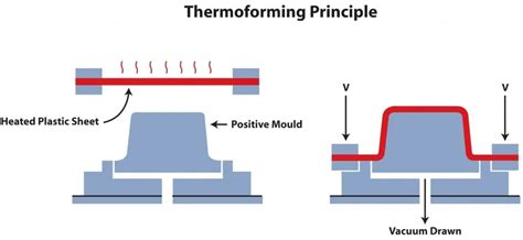 Diagramma che illustra il processo di termoformatura di una pellicola per vetri