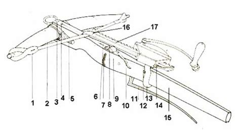 Schema di una balestra a più lame