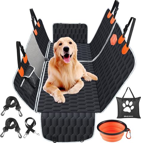 Cane in auto con accessori Nissan