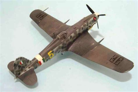 Fiat G.55 in volo con insegne argentine