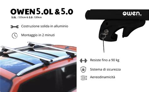 Dettaglio delle barre portatutto con serratura di sicurezza