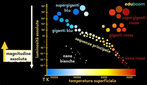Diagramma comparativo delle tipologie di moquette