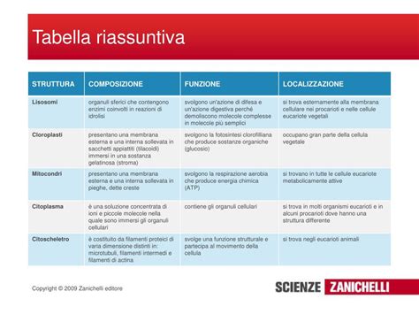 Logo dell'Agenzia YES! e slide riassuntiva della strategia comunicativa