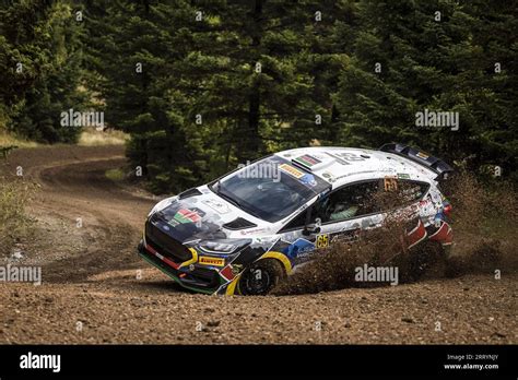 Ford Fiesta in azione durante una prova speciale di rally