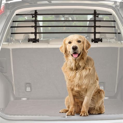 Interno Volvo V70 con divisorio per cani