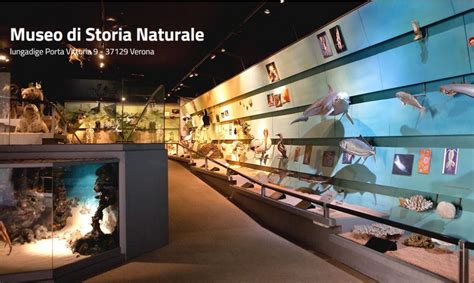 Museo di storia locale di Toyota City