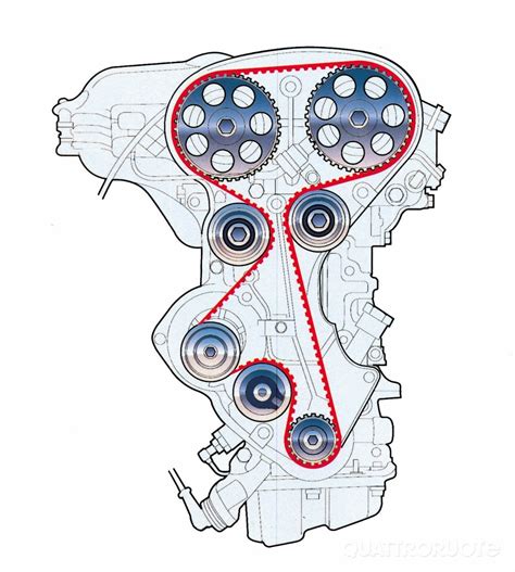 Schema del motore che evidenzia la posizione della cinghia di distribuzione