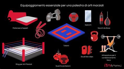 maestri di arti marziali durante una sessione di allenamento in una palestra moderna