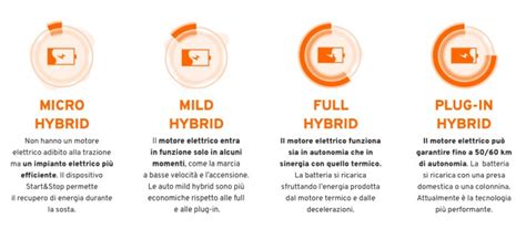 Infografica tipi di ibrido