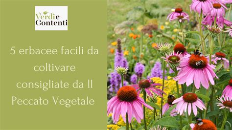 Varietà di erbacee perenni con diverse texture fogliari
