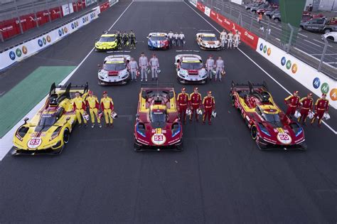 Fernando Alonso festeggia la vittoria alla 24 Ore di Le Mans
