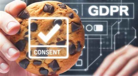 Normative privacy online e cookie