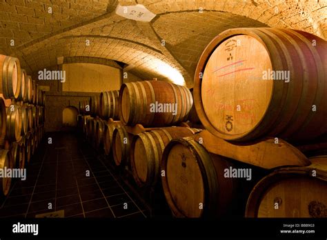 Barili di vino DOP “Jerez-Xèrez-Sherry” in una cantina