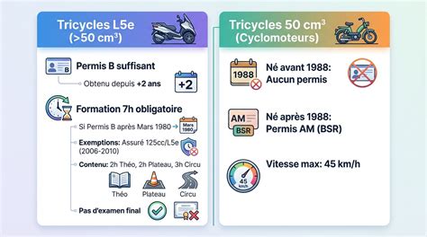 Infografica categorie L5e