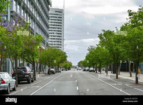 Automobili abbandonate in una strada urbana