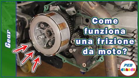 Frizione moto da enduro con carter Audax
