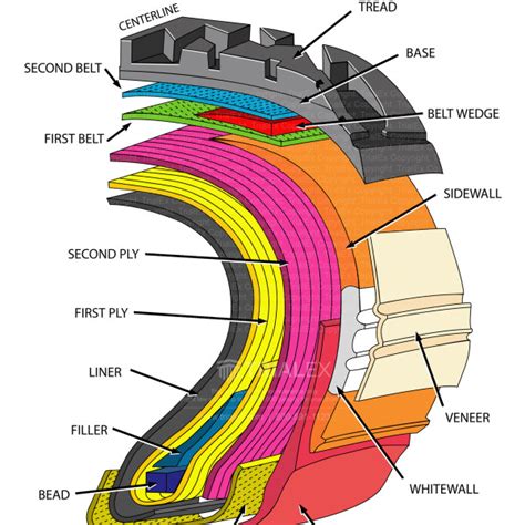 Diagram of tire cross-section and construction