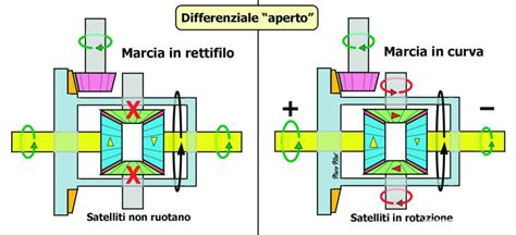 Schema differenziale anteriore auto