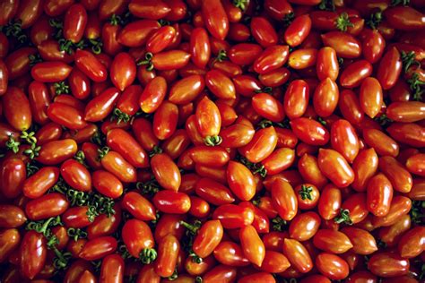 Varietà di pomodori ideali per la passata: San Marzano, Pachino, Cuore di Bue
