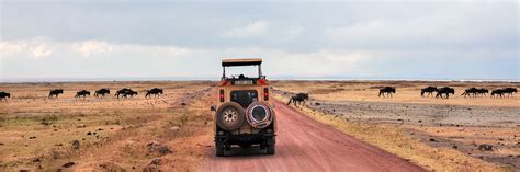 Famiglia in auto durante un safari con animali esotici