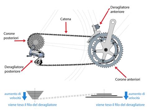 Dettaglio del cambio posteriore a 6 velocità su una bicicletta pieghevole