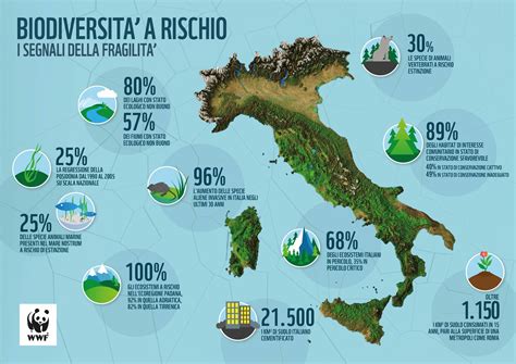 Infografica: Benefici ambientali della guida Eco