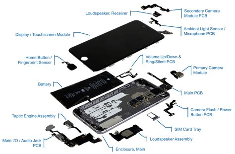Componenti interni iPhone