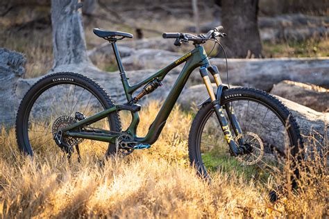 Diagramma geometrico Stumpjumper