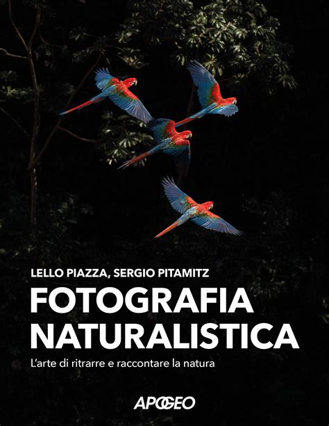 Audiovisivo di fotografia naturalistica