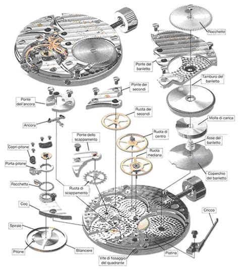 Schema del movimento di un orologio automatico