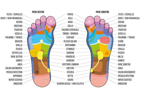 Schema di un piede poppiero entrobordo